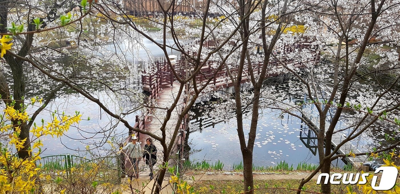 본문 이미지 - 옛 대통령 별장 청남대.(자료사진) / 뉴스1