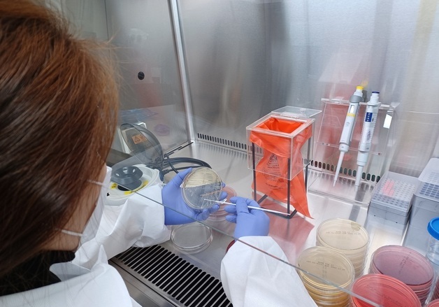 항생제 내성 대응 '국산 신약' 키운다…기술지원단 구축 첫발