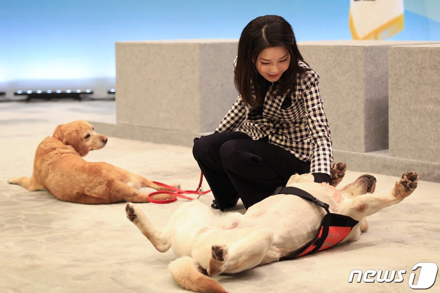 본문 이미지 - 김건희 여사가 7일 청와대 영빈관에서 열린 튀르키예 지진 파견 구조견 격려 행사에서 구조견을 격려하고 있다. (대통령실 제공) 2023.3.7/뉴스1 ⓒ News1 오대일 기자