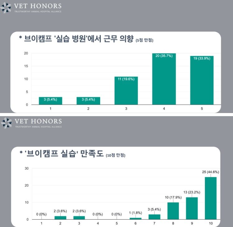 본문 이미지 - 브이캠프 만족도 조사 결과(벳아너스 제공) ⓒ 뉴스1