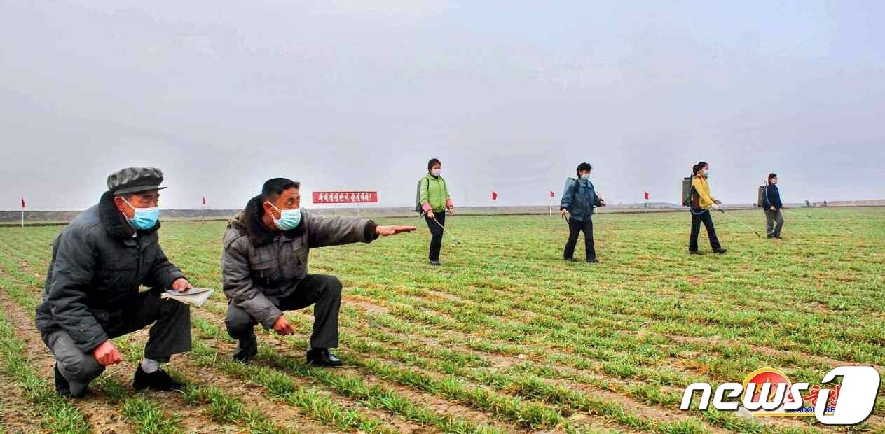 본문 이미지 - (평양 노동신문=뉴스1) = 자료사진. [국내에서만 사용가능. 재배포 금지. DB 금지. For Use Only in the Republic of Korea. Redistribution Prohibited] rodongphoto@news1.kr