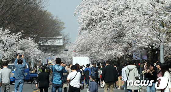 오늘의 날씨] 광주·전남(2일, 일)…건조주의보, 맑음 - 뉴스1