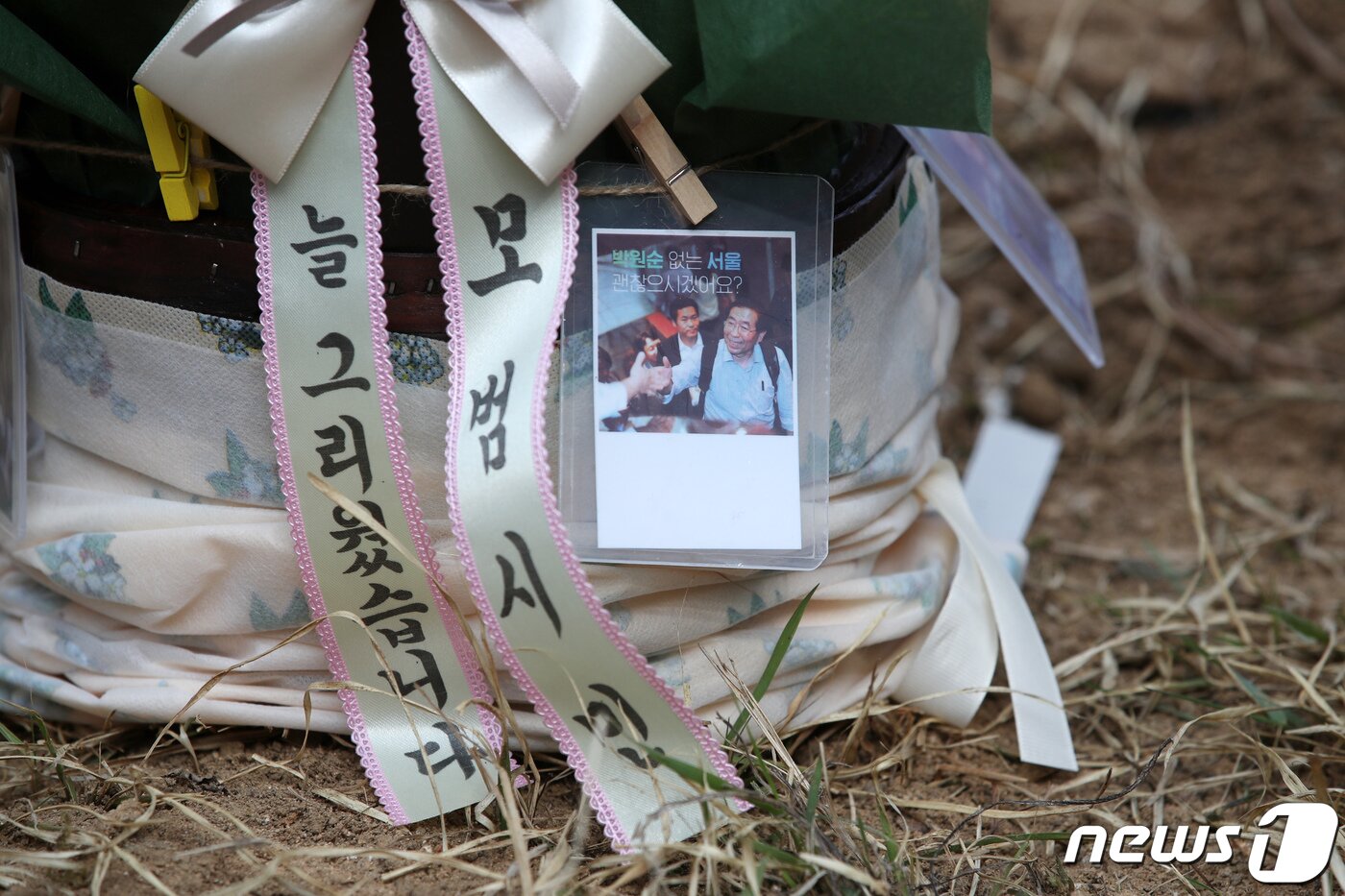 본문 이미지 - 1일 오후 경기도 남양주시 마석 모란공원 민주열사 묘역 내 故 박원순 전 서울시장의 묘소에서 추모 조화가 놓여져 있다. 고(故) 박원순 전 서울시장의 묘소는 이날 경남 창년군 선영에서 경기 남양주 마석 모란공원으로 새벽에 이장됐다. 2023.4.1/뉴스1 ⓒ News1 이승배 기자