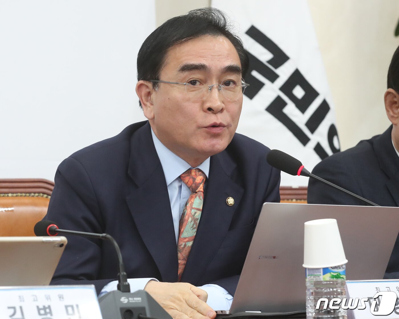 본문 이미지 - 태영호 국민의힘 최고위원./뉴스1 ⓒ News1 송원영 기자