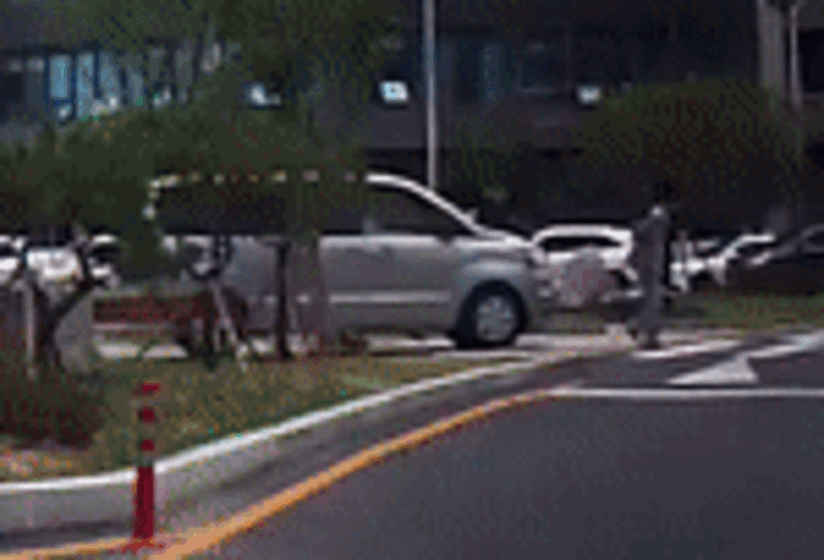 본문 이미지 - 가해 차량. ('보배드림' 갈무리)