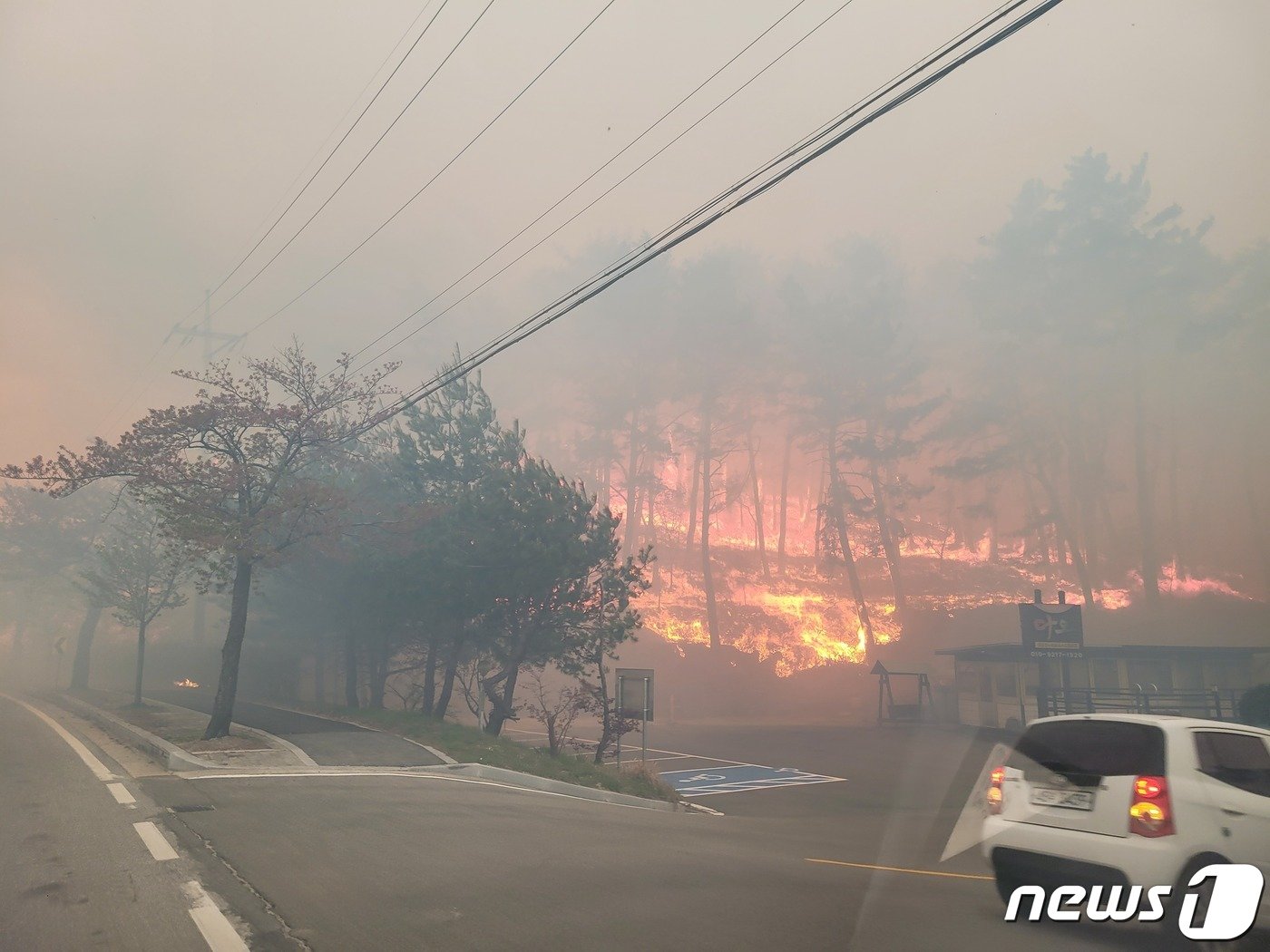 강릉 난곡동 산불.&#40;뉴스1DB&#41; 2023.4.11/뉴스1