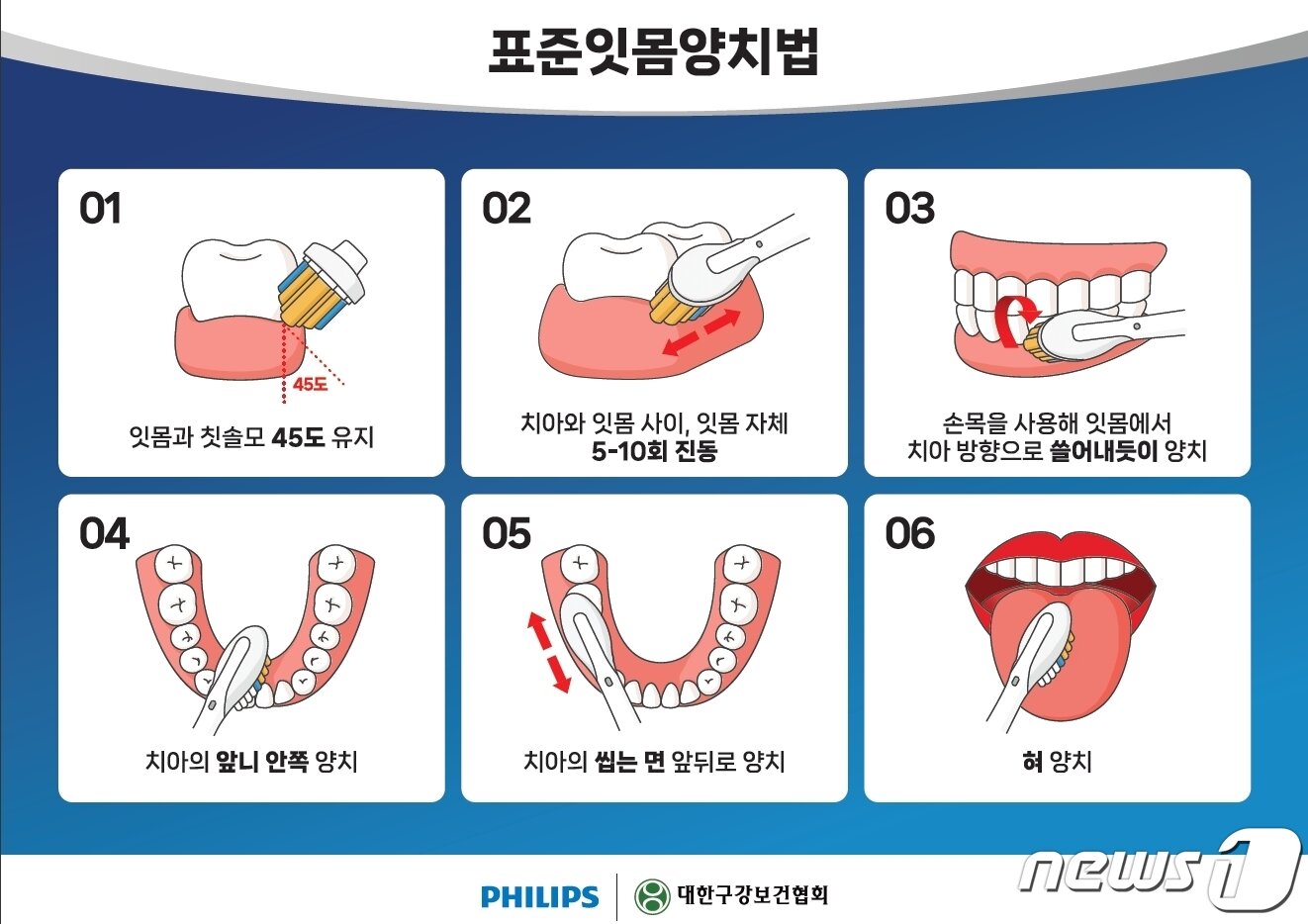 본문 이미지 -  표준잇몸양치법(필립스코리아 제공)