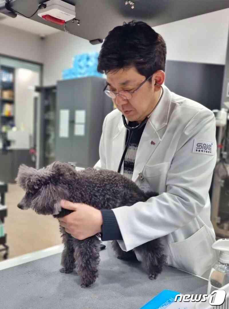 강아지 진료 중인 최중연 원장(SNC동물메디컬센터 제공) © 뉴스1
