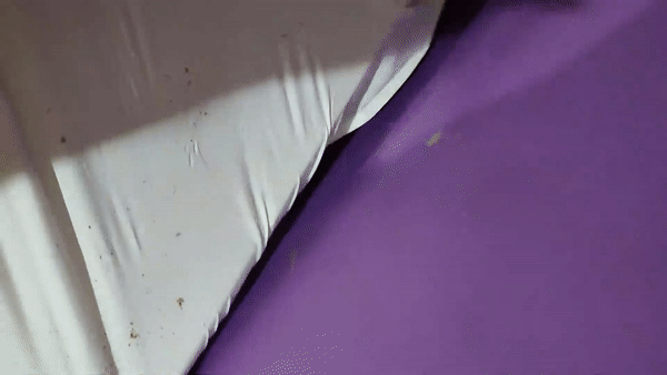 본문 이미지 - ('보배드림' 갈무리)