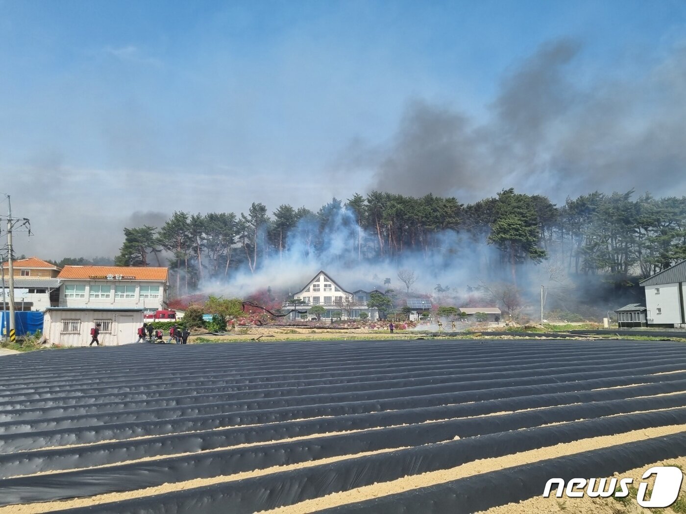 본문 이미지 - 11일 오전 8시 22분쯤 강원 강릉 난곡동의 한 야산에서 발생한 산불이 경포도립공원 인근으로 확산되고 있다. 2023.4.11/뉴스1 ⓒ News1 윤왕근 기자