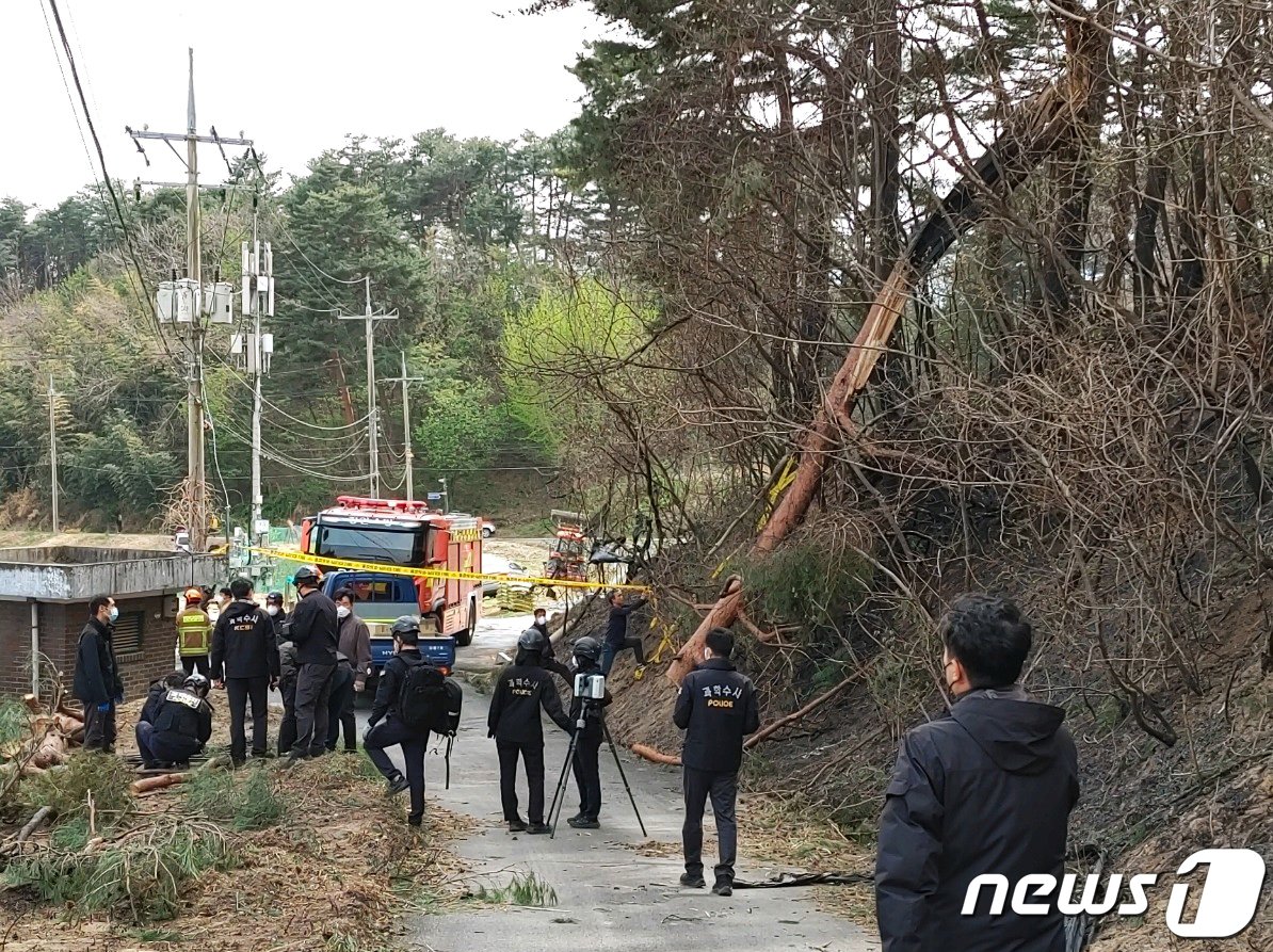 본문 이미지 - 강원도 강릉 난곡동 일원에서 산불이 발생한 11일 국립산림과학원과 한국산불방지기술협회, 과학수사팀 관계자 등이 산불 발화 추정 장소에서 발화원인을 조사하고 있다. 지금까지 파악된 내용으로는 강한 바람으로 나무가 부러지면서 전선을 단락시켰고, 그 결과 전기불꽃이 발생해 산불을 일으킨 것으로 보고 있다. (산림청 제공) 2023.4.11/뉴스1