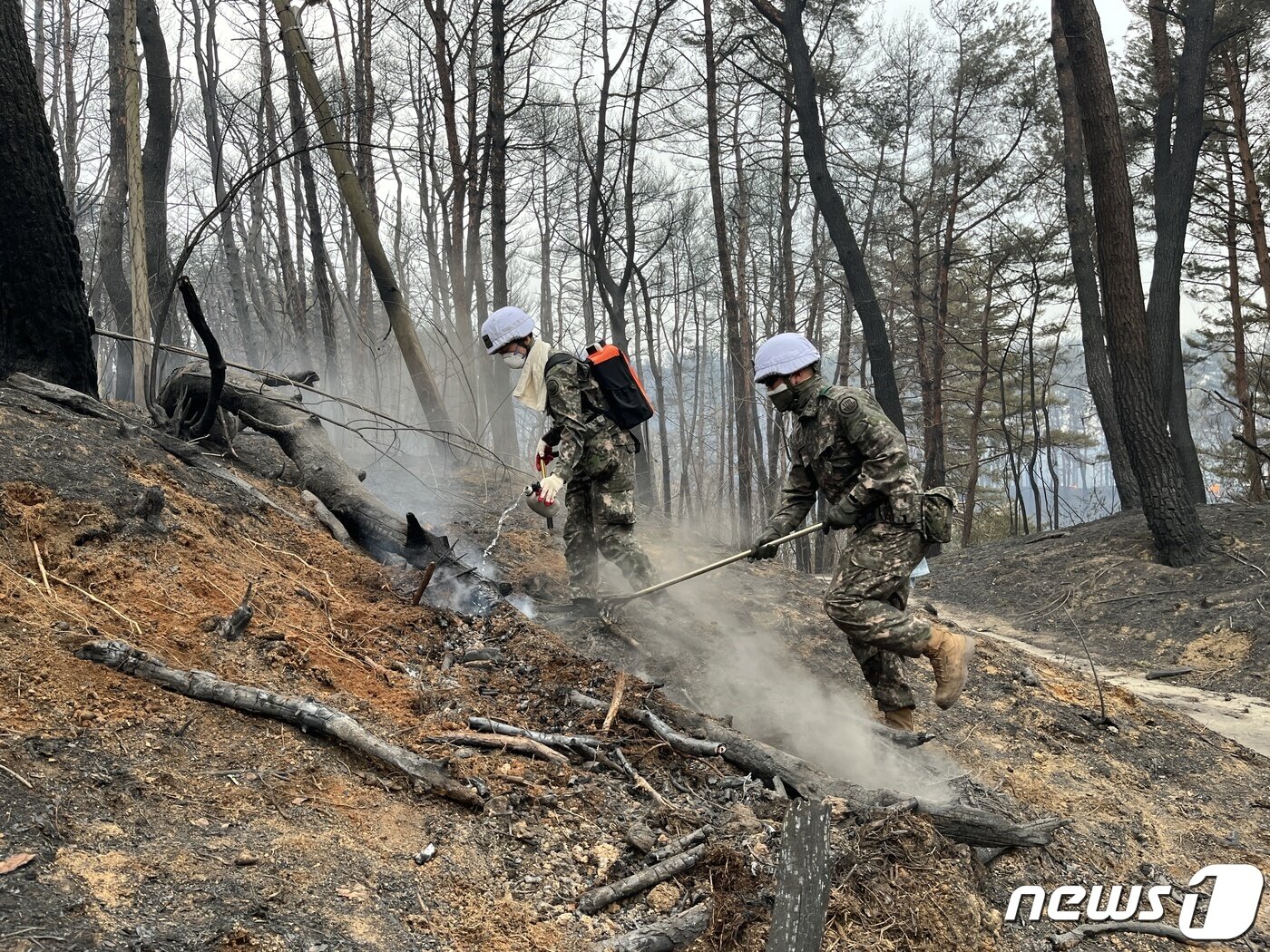 본문 이미지 - 육군 8군단 장병들이 지난달 11일 강원 강릉 산불 현장에서 잔불 제거 작전을 실시하고 있다. (육군8군단 제공) 2023.4.11/뉴스1