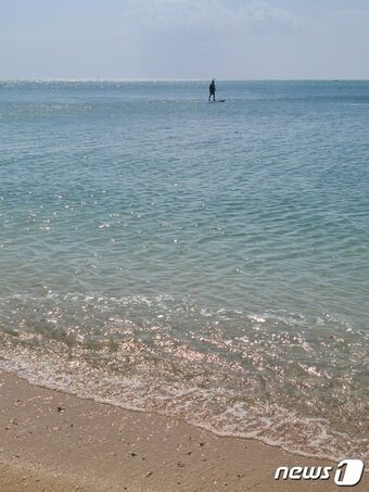 본문 이미지 - 스탠딩 패들 보드 이용 모습 ⓒ News1