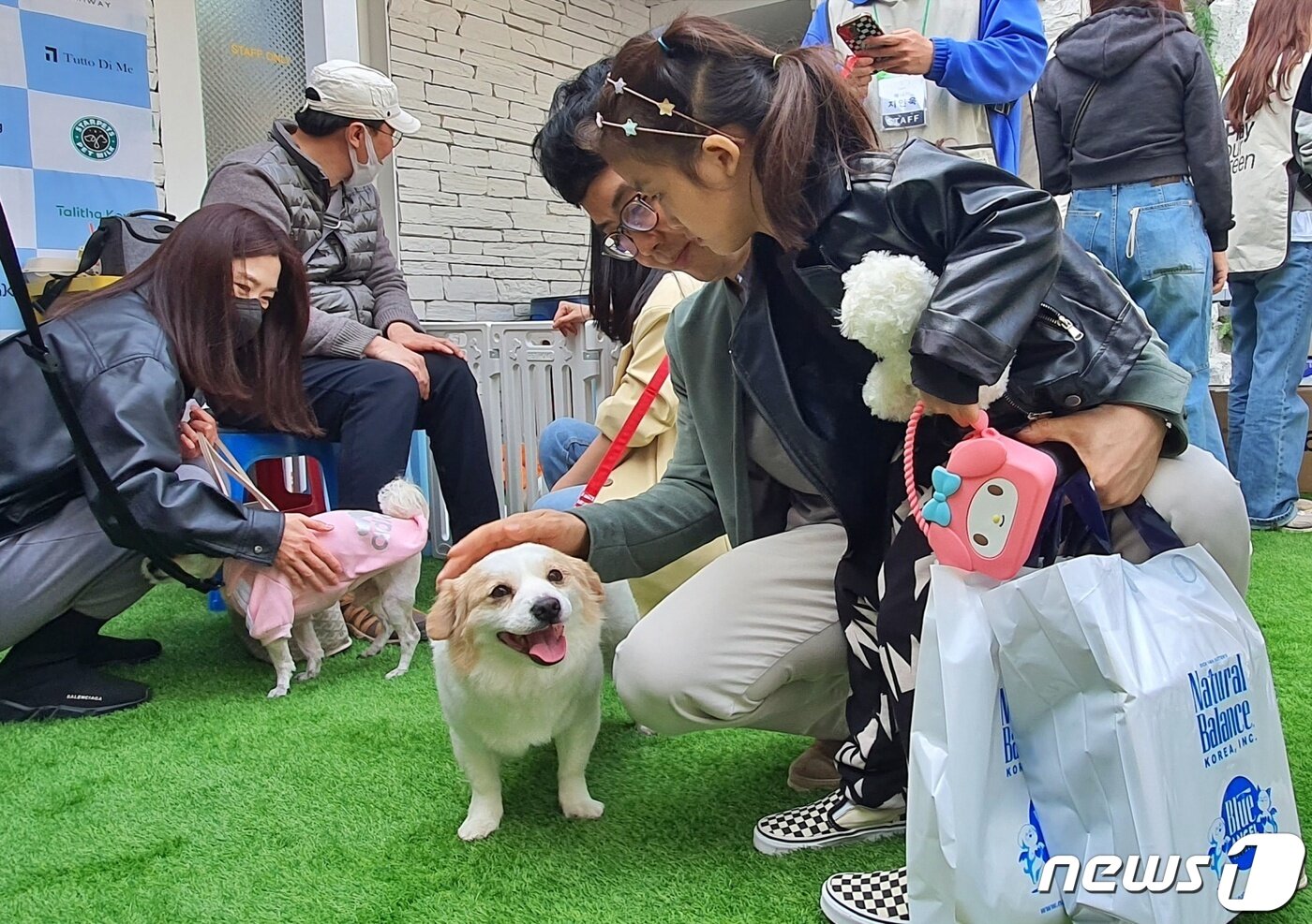 본문 이미지 - 내추럴발란스 블루엔젤봉사단이 참여한 '동물보호소 돕기 바자회'가 16일 서울 강남구 애견카페에서 진행됐다. ⓒ 뉴스1 최서윤 기자