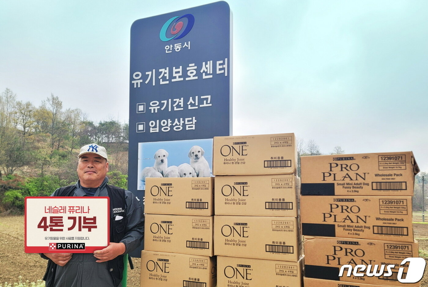 본문 이미지 - 네슬레 퓨리나는 유기동물보호입양협회에 사료를 전달했다.(퓨리나 제공) ⓒ 뉴스1