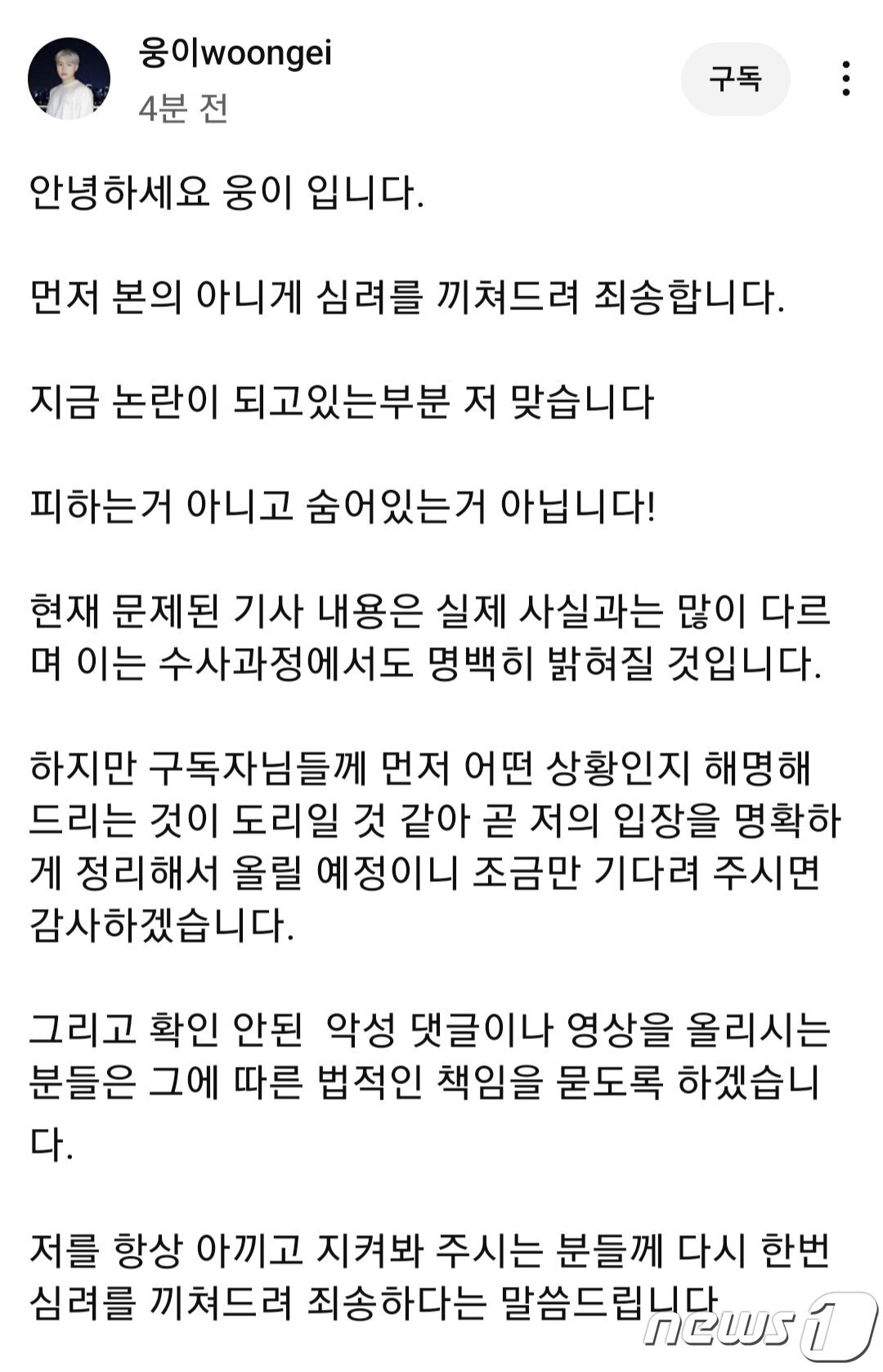 본문 이미지 - (유튜브 '웅이' 채널 갈무리)