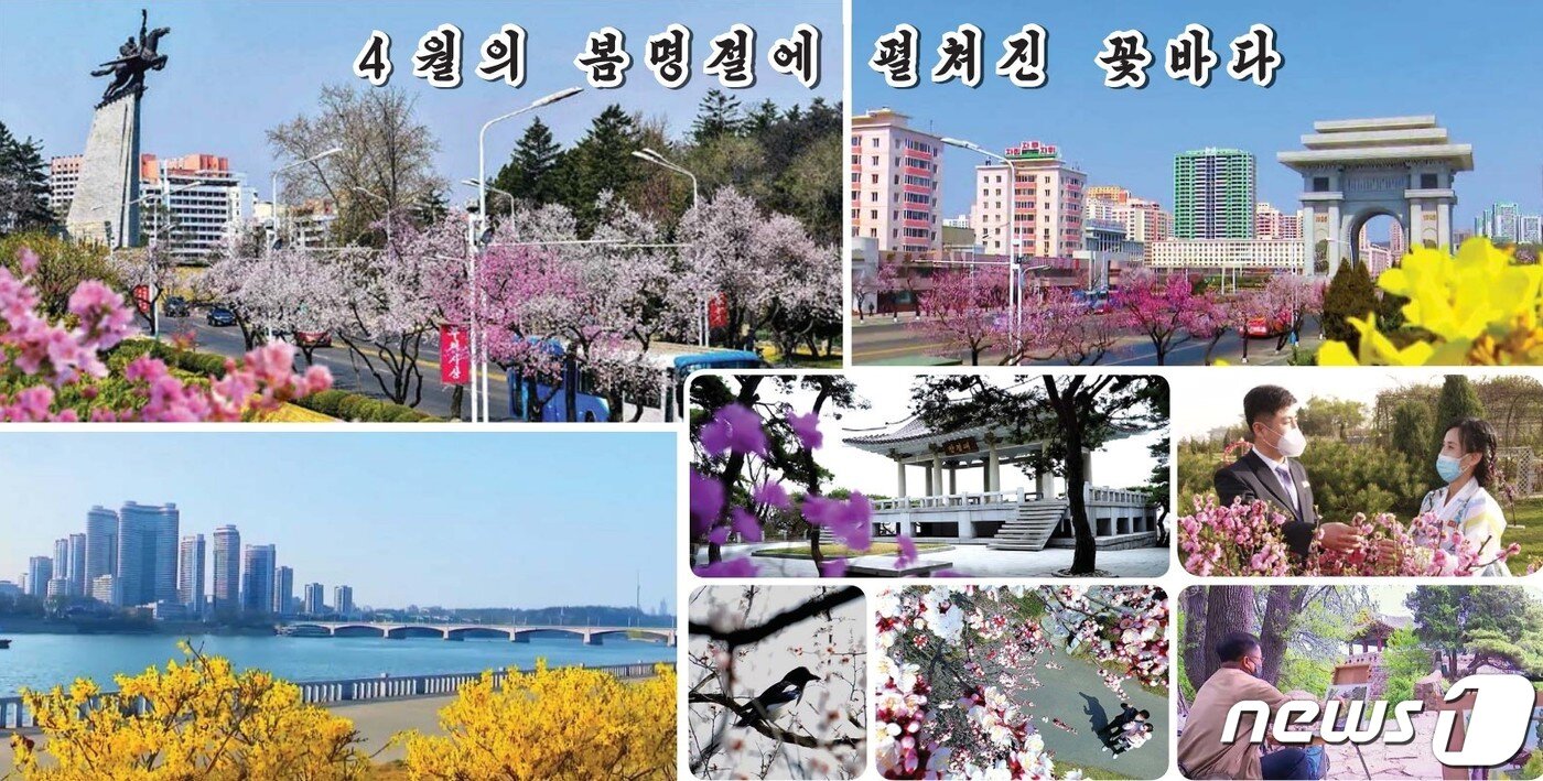 본문 이미지 - 지난 15일 발행된 북한 대외용 주간지 통일신보 평양의 봄 풍경 사진에 현대자동차의 '에어로시티' 버스가 포착된 사진은 편집됐다.(통일신보 갈무리)