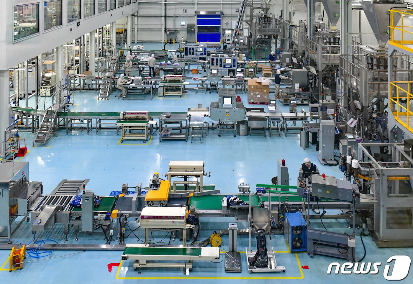 본문 이미지 - 충북 음성 '우리와 펫푸드 키친' 현장(우리와 제공) ⓒ 뉴스1