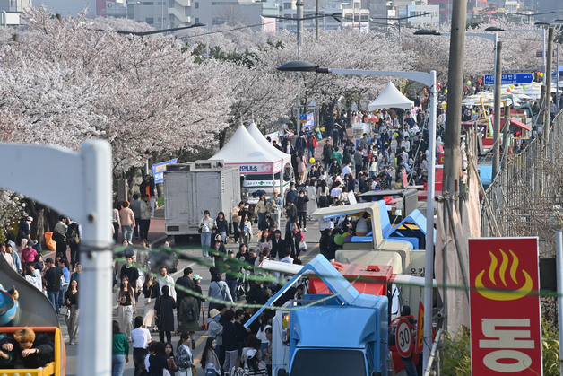 공무원-업자 유착 의혹 여파…청주시 벚꽃 푸드트럭축제 돌연 취소
