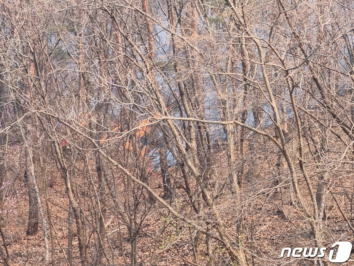 2일 오후 2시55분쯤 강원 원주시 지정면 안창리에서 산불이 발생, 소방 등이 인력을 투입해 진화작업을 벌이고 있다. &#40;독자제공&#41; 2023.4.2/뉴스1