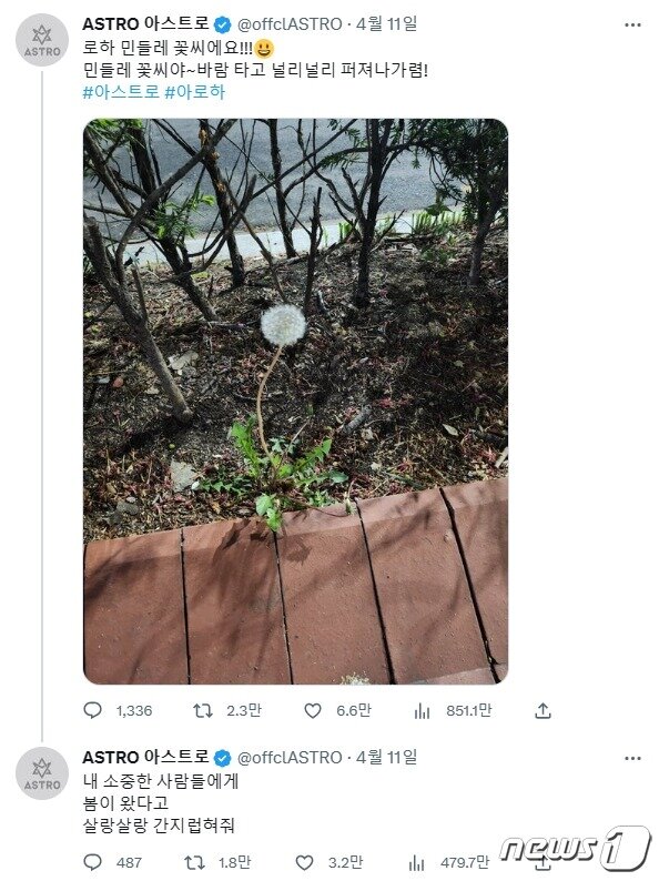 본문 이미지 - (트위터 갈무리)