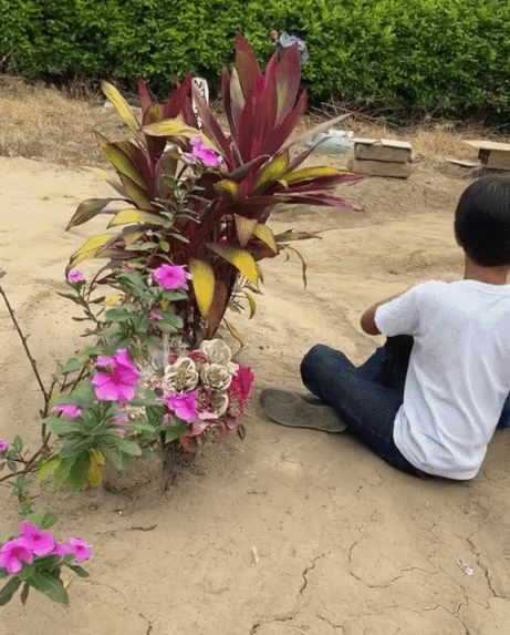 본문 이미지 - 엄마의 무덤을 떠나며 손을 흔들어 작별 인사를 건네는 소년. (틱톡)