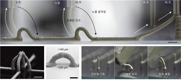 소프트 전도체의 전방위 삼차원 프린팅 과정 및 실제 프린팅한 다양한 하부 지지층 없는 자유형상 삼차원 구조 &#40;정승준 한국과학기술연구원 연구팀 제공&#41; 2023.04.21 /뉴스1