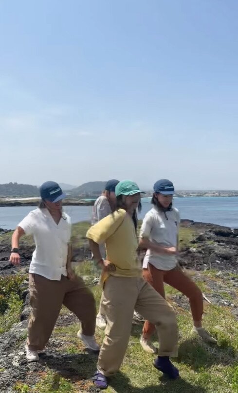 본문 이미지 - 이효리 SNS 갈무리