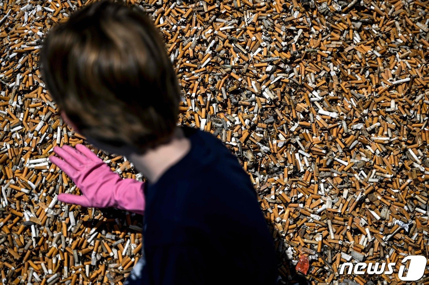 환경운동가가 전시하기 위해 내놓은 담배꽁초를 정리하고 있다. ⓒ AFP=뉴스1 ⓒ News1 박형기 기자