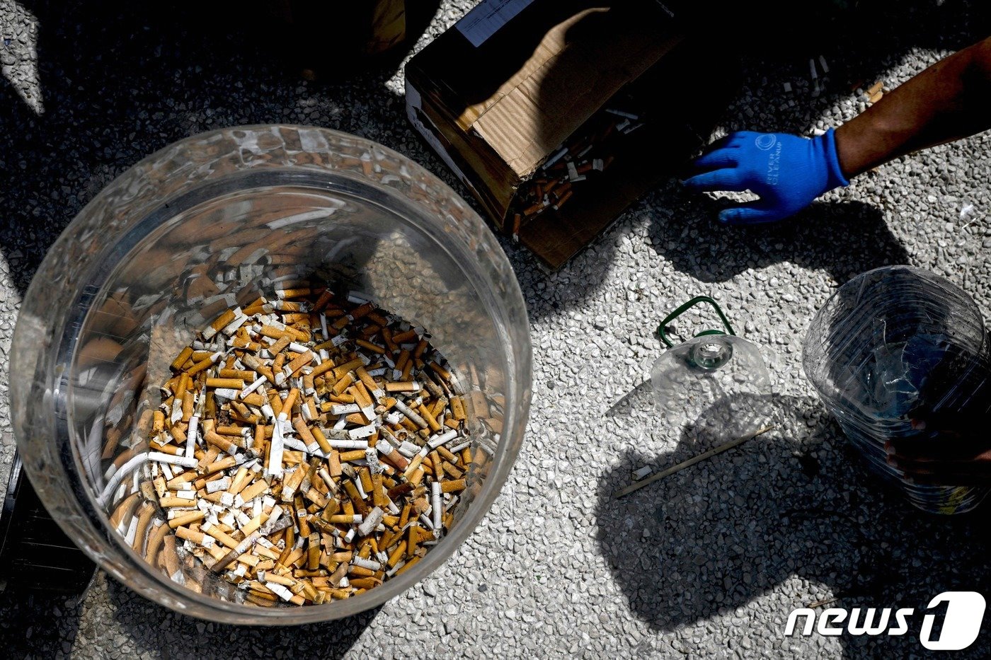 본문 이미지 - 담배꽁초를 모은 통 ⓒ AFP=뉴스1 ⓒ News1 박형기 기자