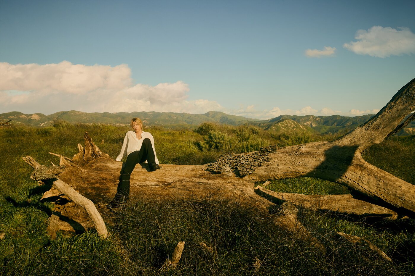 본문 이미지 - 태양(더블랙레이블 제공)