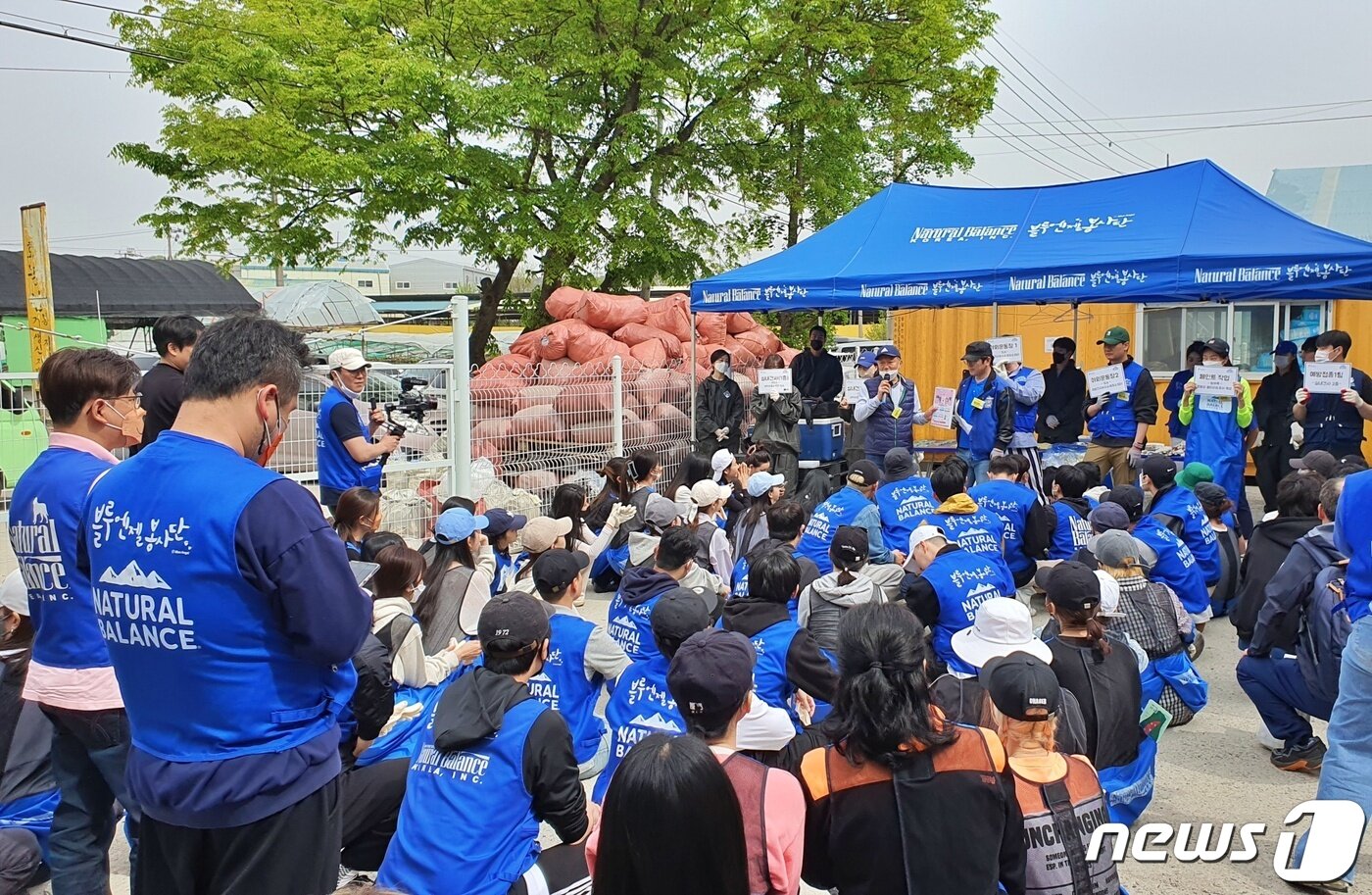 본문 이미지 - 내추럴발란스 블루엔젤봉사단과 경기도수의사회는 23일 경기 안성시 사설 동물보호소에서 봉사활동을 진행했다. ⓒ 뉴스1 최서윤 기자