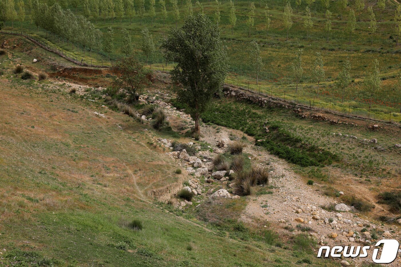 본문 이미지 - 27일(현지시간) 스페인 론다의 '라스쿨레브라' 하천이 이상고온으로 바싹 말랐다. ⓒ 로이터=뉴스1 ⓒ News1 권진영 기자