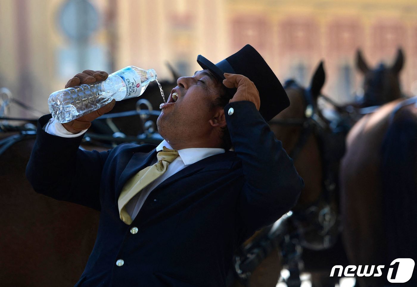 본문 이미지 - 26일(현지시간) 스페인 세비야에서 정장 차림의 한 마부가 물을 벌컥벌컥 들이키고 있다. 이날 스페인의 기온은 한여름 수준으로 치솟았다. (기사 내용과는 무관한 인물) ⓒ AFP=뉴스1 ⓒ News1 권진영 기자