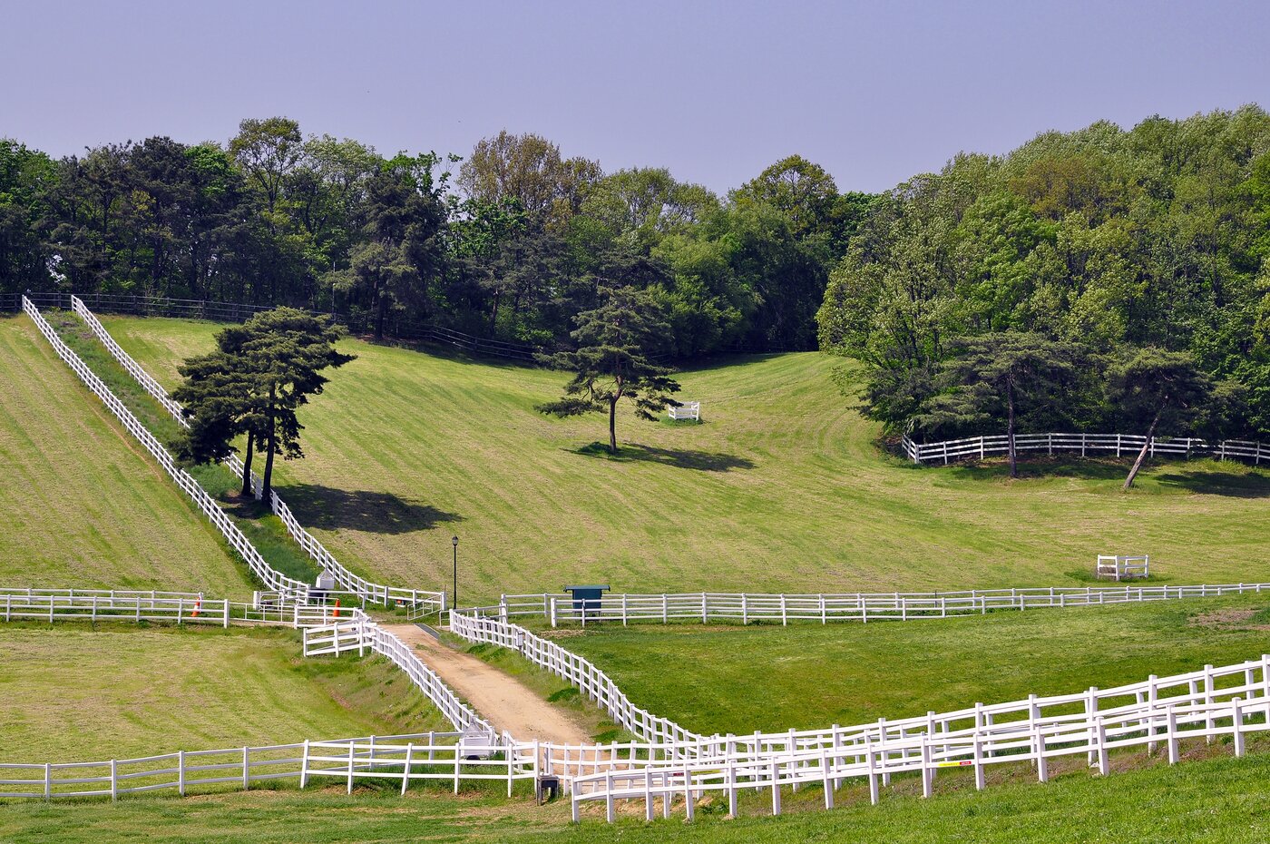 본문 이미지 - 피크닉 즐기기 좋은 원당목장(한국관광공사 제공)
