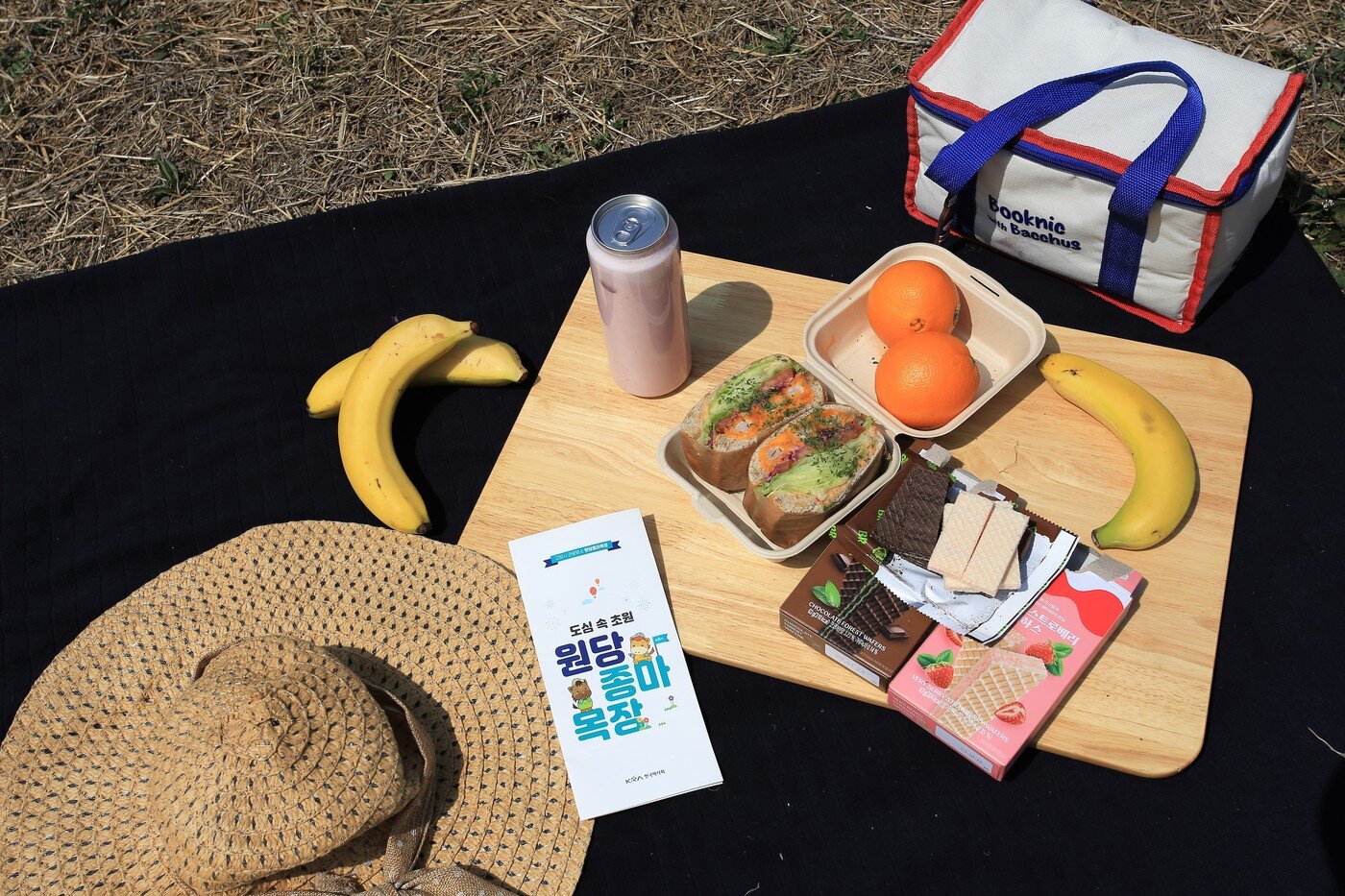 본문 이미지 - 피크닉을 위해 준비하기 좋은 간단한 먹거리와 돗자리(한국관광공사 제공)