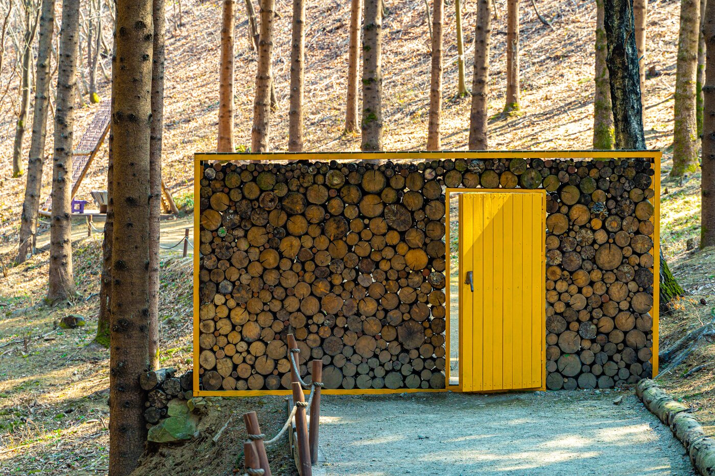 본문 이미지 - 가문비치유숲 곳곳에 이색적인 포토존이 있다(한국관광공사 제공)