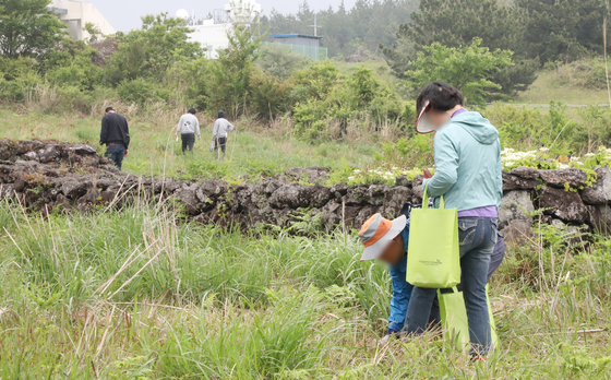 "고사리 꺾고 있었는데 여기가 어딘지…" 제주서 길 잃음 사고 잇따라