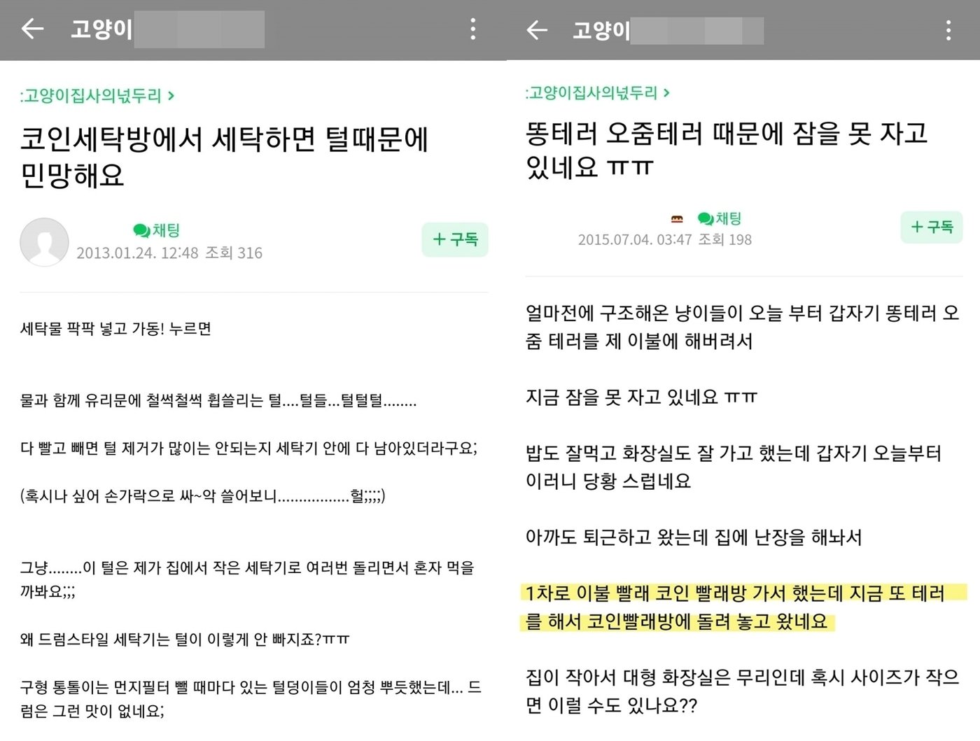 본문 이미지 - 현수막에서 언급된 포털사이트의 대형 고양이 카페에서는 "무인세탁소에서 반려묘 이불을 세탁했다"는 글들을 쉽게 찾아볼 수 있다. (네이버 카페)