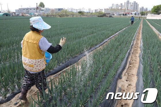 오늘의 날씨] 대구·경북(5일,수)…내일 오전까지 비, 최고 80㎜ - 뉴스1