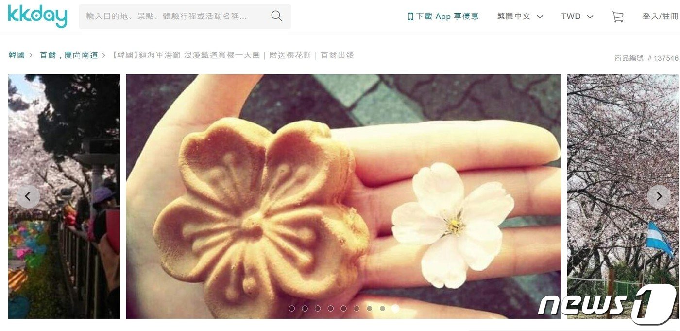 본문 이미지 - 케이케이데이에서 판매하는 진해군항제 관련 여행 상품.