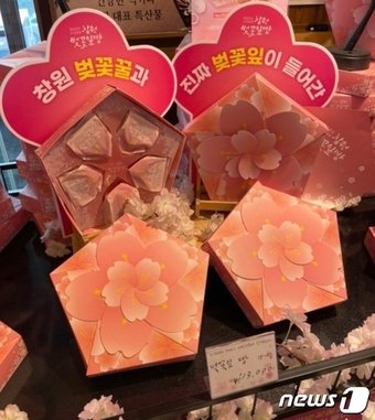본문 이미지 - 벚꽃빵&#40;창원시청 제공&#41;