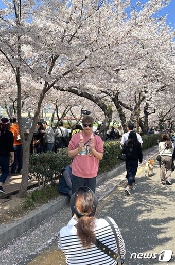 본문 이미지 - 벚꽃 아이스크림 인증샷을 찍는 대만 관광객. ⓒ News1 윤슬빈 기자