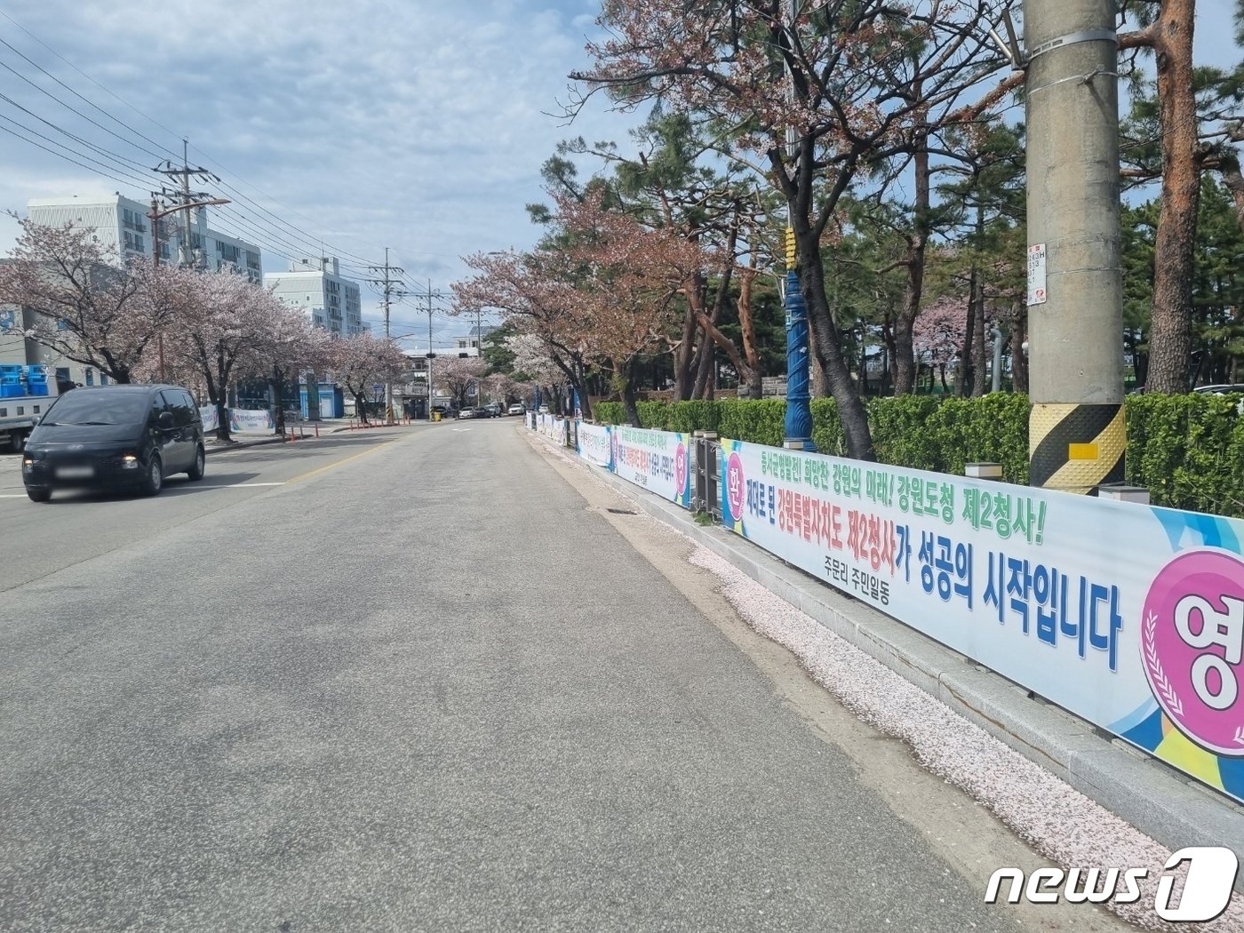 본문 이미지 - 6일 강원 강릉시 주문진읍 강원도립대 앞 도로에 강원도 제2청사 강릉 유치를 환영하는 현수막이 내걸려 있다.2023.4.6/뉴스1 윤왕근 기자
