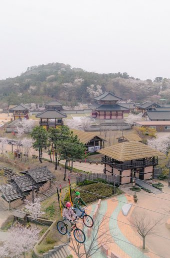 본문 이미지 - 고공 자전거 체험인 익사이팅 사이클ⓒ News1  