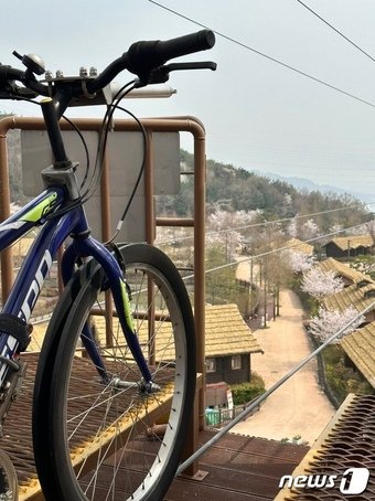 본문 이미지 - 공중 위 와이어로 자전거를 타고 달린다ⓒ News1 