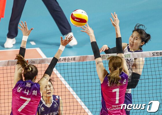 역대급 FA시장이 온다…김연경·박정아·배유나 등 관심 폭증 - 뉴스1 역대급 Fa시장이 온다…김연경·박정아·배유나 등 관심 폭증 - 뉴스1