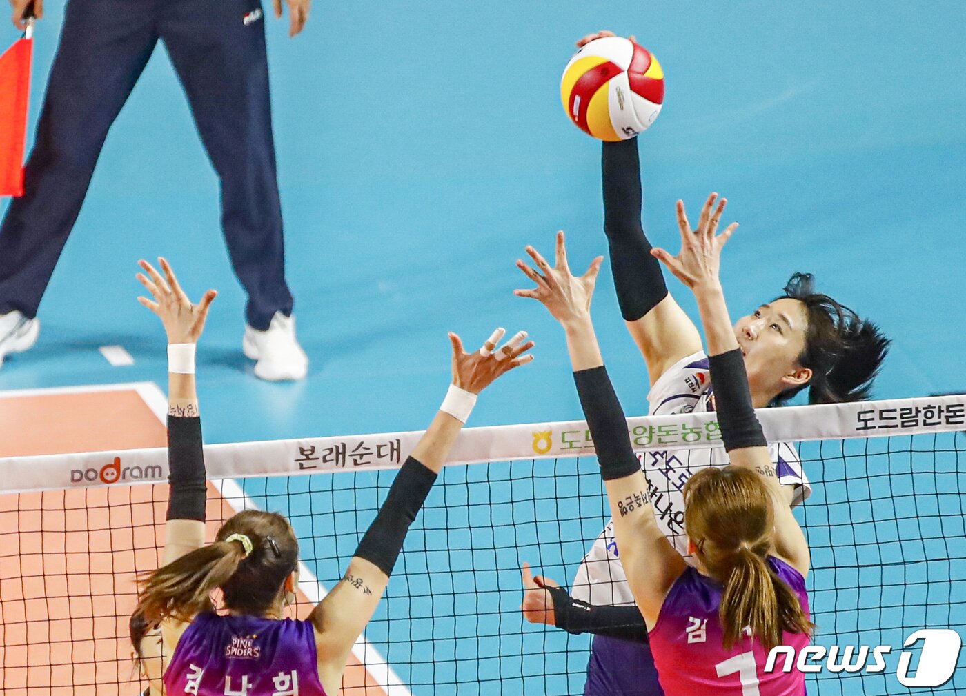 본문 이미지 - 6일 오후 인천 부평구 삼산월드체육관에서 열린 여자프로배구 2022-2023 V리그 챔피언 결정전 흥국생명과 한국도로공사 5차전 경기, 한국도로공사 박정아가 공격을 하고 있다. 2023.4.6/뉴스1 ⓒ News1 김도우 기자