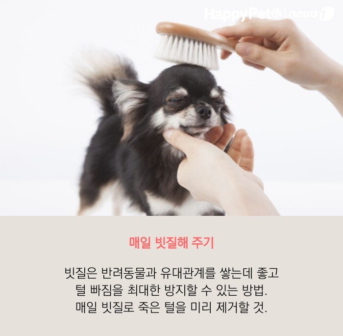 본문 이미지 -  