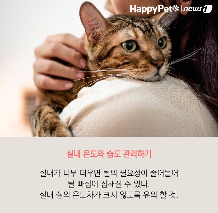 본문 이미지 -  